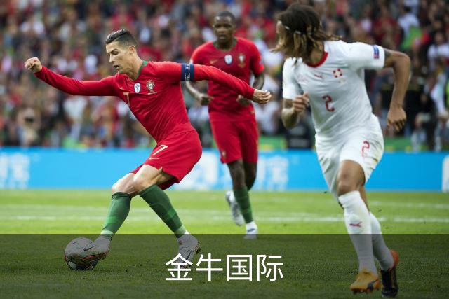 金牛国际公司介绍图片